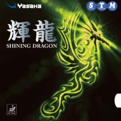 Yasaka Shining Dragon