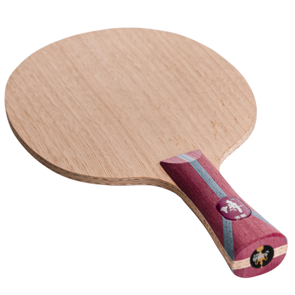 DHS Bo Carbon - Imagem 2